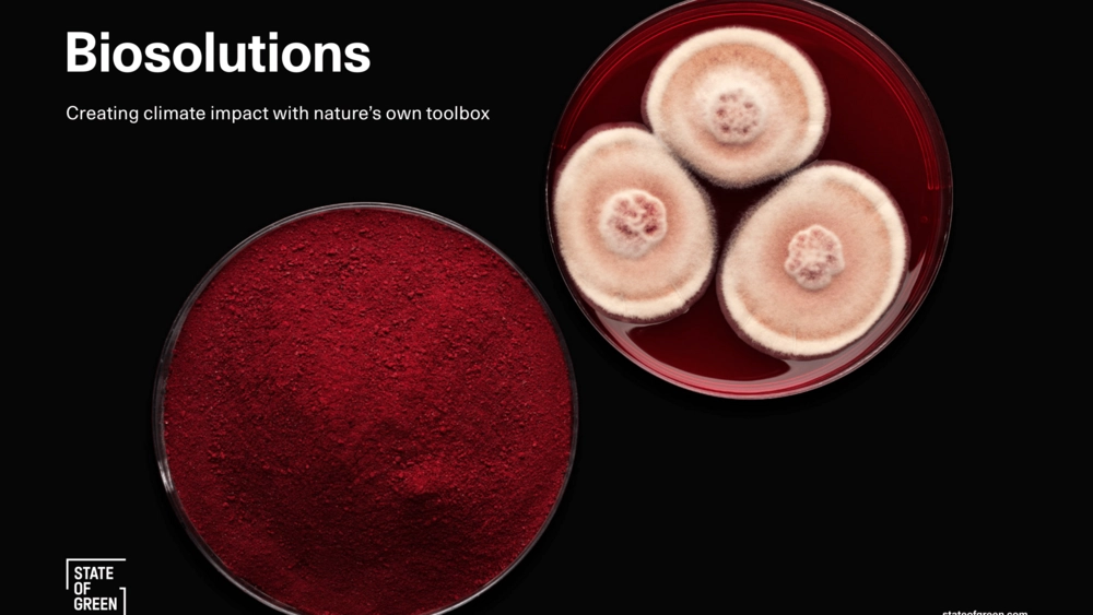 State of Green udgiver publikation om danske Biosolutions
