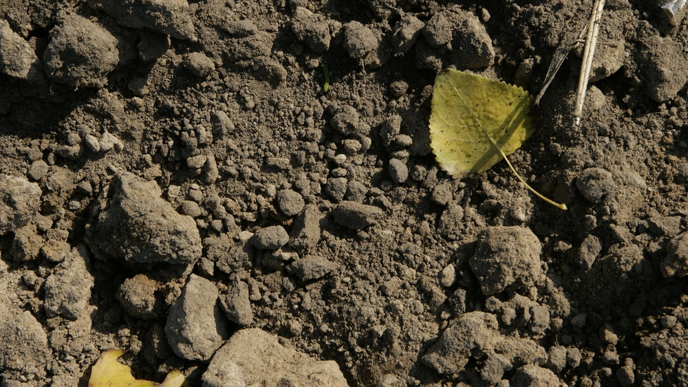 Jordhåndtering: midler afsat i 2026-2029 til nyt IT-system