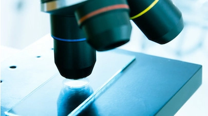 SDU-forskere udvikler kunstig edderkoppesilke som alternativ til elastan