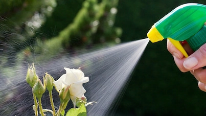 Biodiversitetspartnerskabet overrækker deres anbefalinger