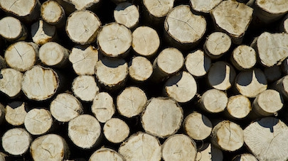 Vejledninger til biobaseret byggeri