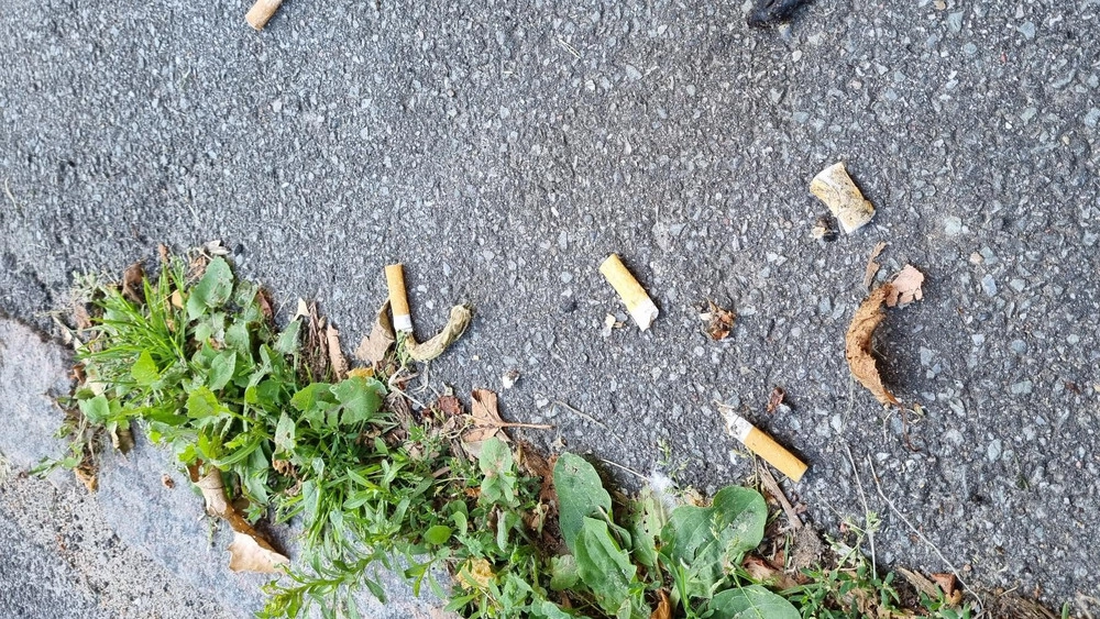 5,3 millioner nikotinposer ender i naturen og i det offentlige rum