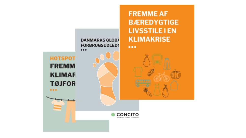 Bæredygtighed - fra svag til stærk tilgang
