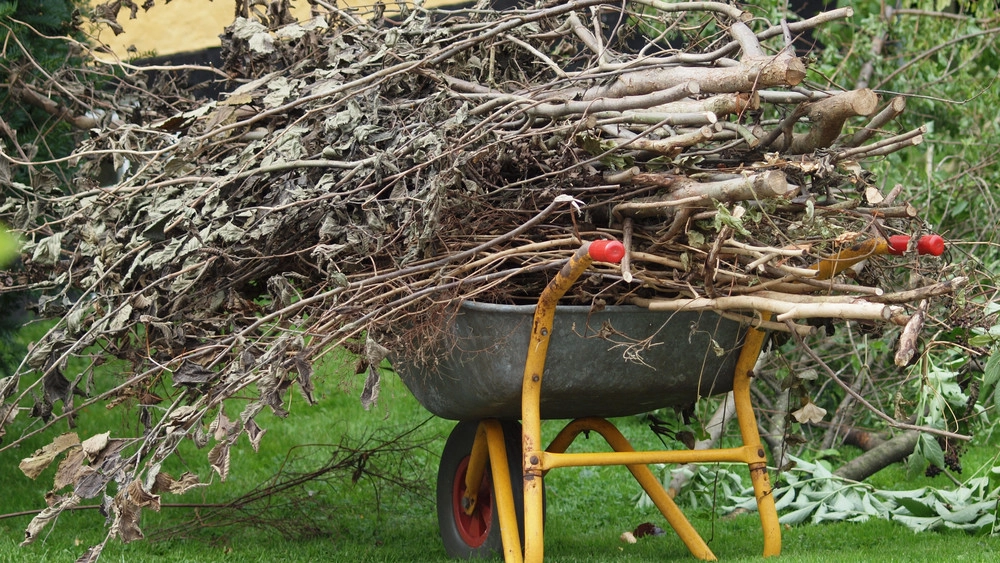Ny bekendtgørelse om biomasseaffald offentliggjort