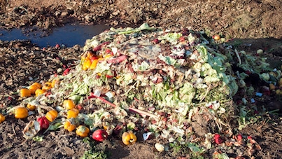 Ny undersøgelse om plast i kompost og digestater