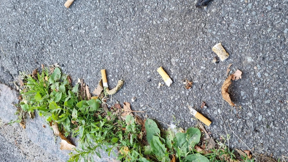 Nyt om cigaretfiltre