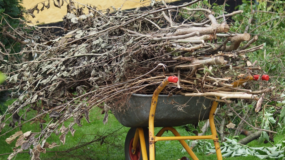 Bekendtgørelse om biomasseaffald i høring – frist 28. juli