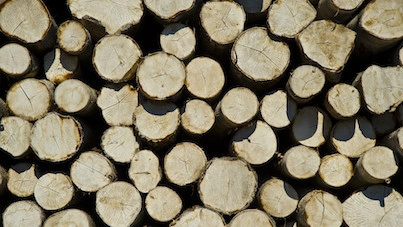 Udstilling om fremtidens - mulige - byggematerialer