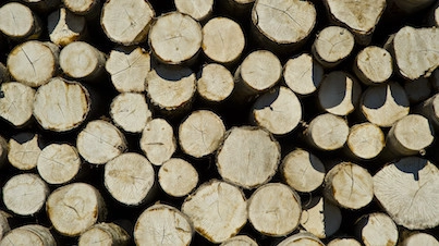 Reduktion af klimaaftryk ved at bruge træ i byggeriet