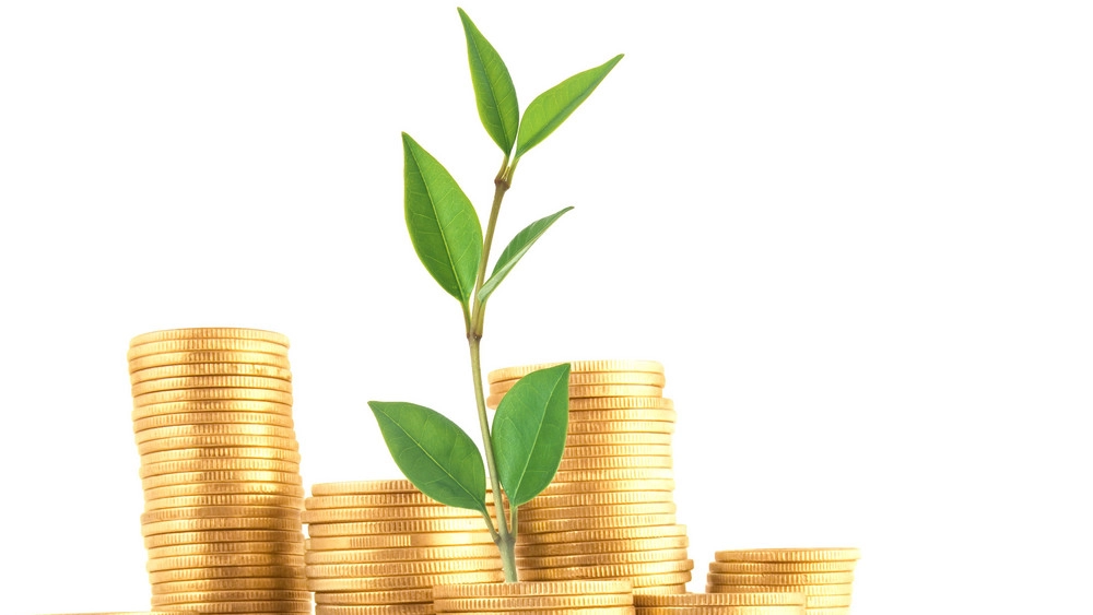 Ny rapport om udviklingen af den europæiske bioøkonomi