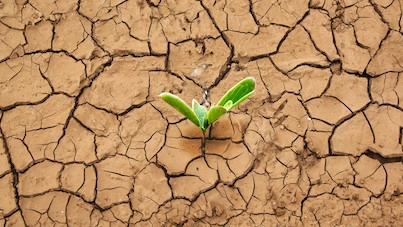 Nye EU-miljønormer for at gøre kemi- og tekstilvirksomheder grønnere