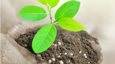 Fra marken til byggeri - muligheder for grøn omstilling i landbrug, fødevaresektor og byggeri