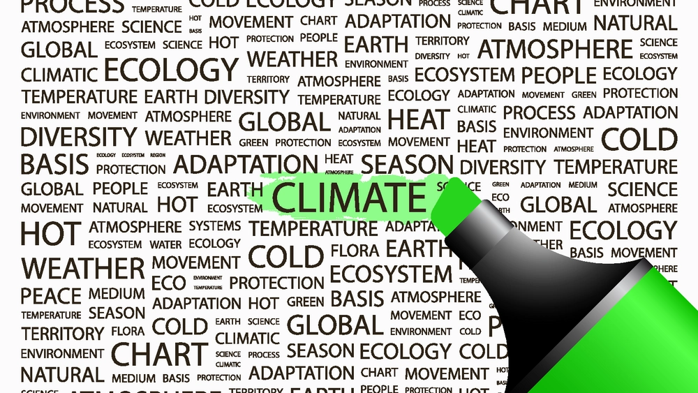 Klimarådet: Vigtige beslutninger om 2050 skal træffes allerede nu