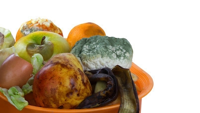 Evidensbaseret indsamling af madaffald i København