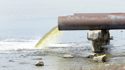 PFAS fundet i græs ved kysten