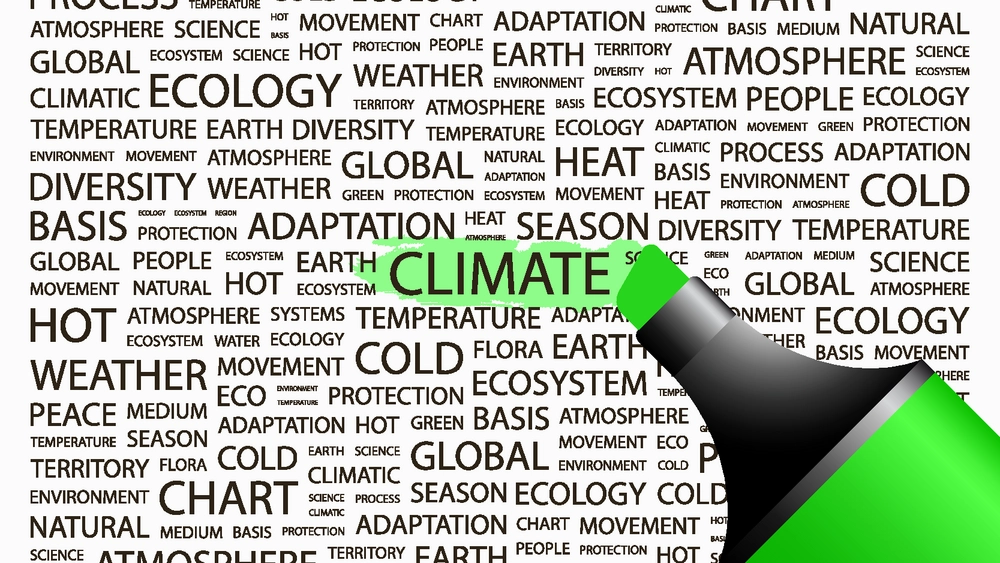 Klimarådets kommentarer til regeringens Klimaprogram 2024