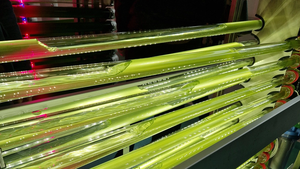 Nye anbefalinger fra det nationale bioøkonomipanel