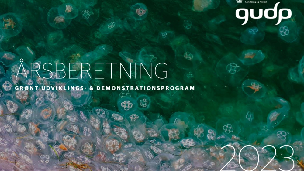 GUDP gav knap 18 mio.kr. i 2023 til cirkulært ressourceforbrug og begrænset madspild